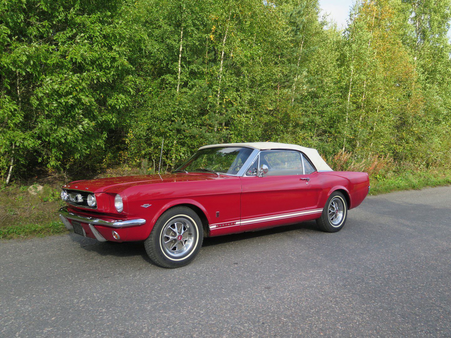 Triangle Motor Co. Ford Mustang GT 1966 08