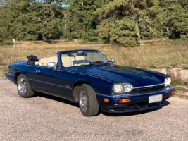 Triangle Motor Jaguar 1996 Blue icon